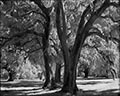 Image Not Available
